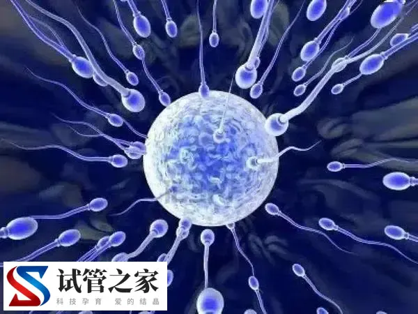 精子活力低是不是只能做试管婴儿