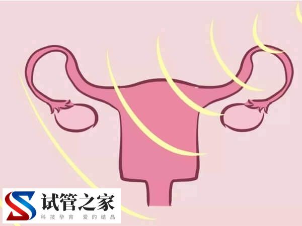 子宫内膜薄怎样增长