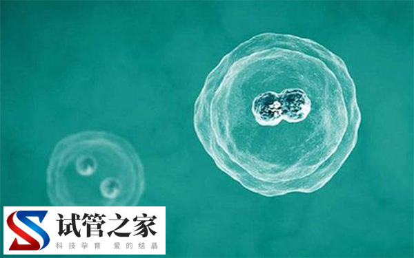 清远市人民医院冻胚放一年多少钱(图3)