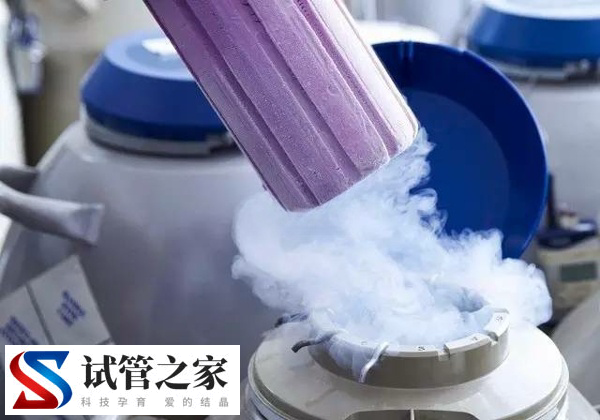 北大人民医院胚胎冷冻费用多少(图2) 北大人民医院胚胎冷冻费用多少(图2)