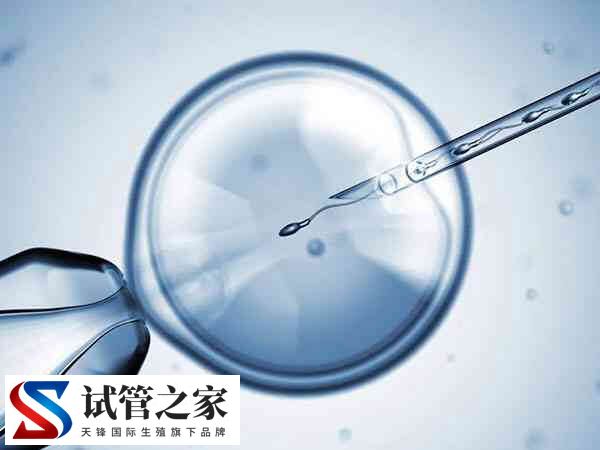 促排超长方案失败后怎么办(图2) 促排超长方案失败后怎么办(图2)