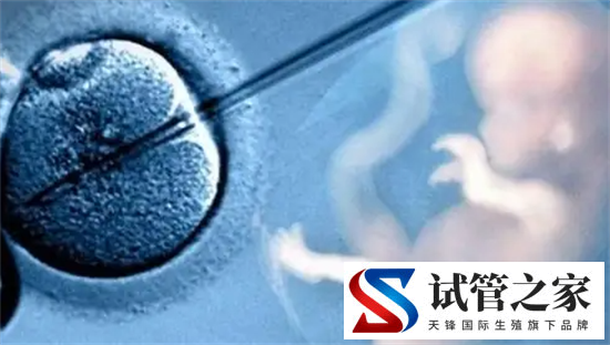 试管胚胎移植对内膜有什么要求？做试管婴儿如何调理子宫内膜(图2)