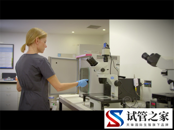 深入解析试管超长方案促排的优势！揭示其背后的科学原理(图1)