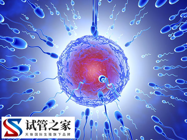 一代试管能不能转三代