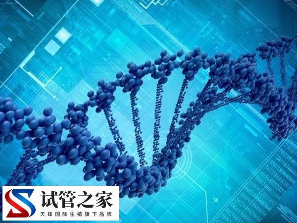 胚胎筛选和性别筛选是否一样(图2)