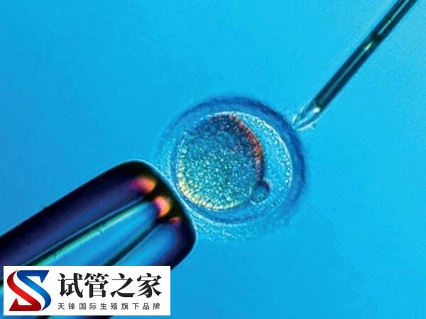 促排卵不好是什么原因引起的