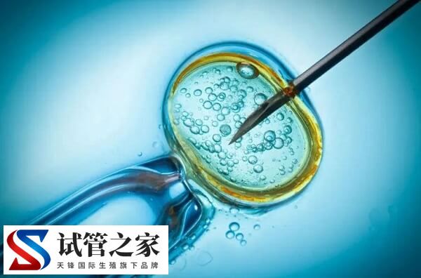 做试管取8个卵泡怎么样