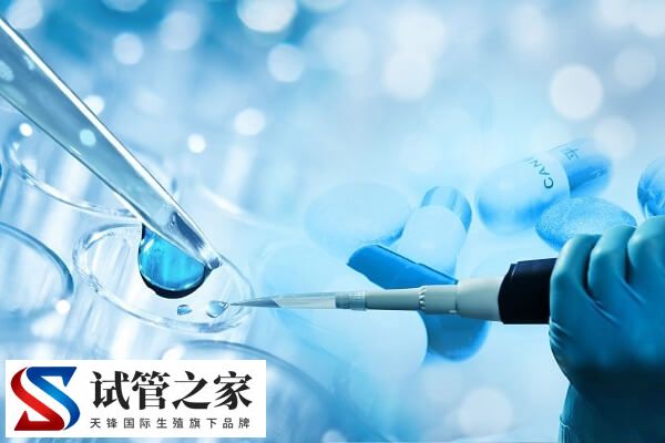 做试管取8个卵泡怎么样(图2)