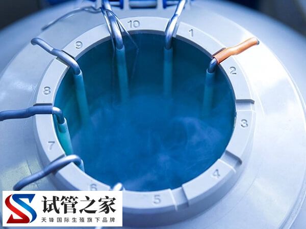 试管婴儿剩余胚胎可以在医院冷冻保存5年吗？