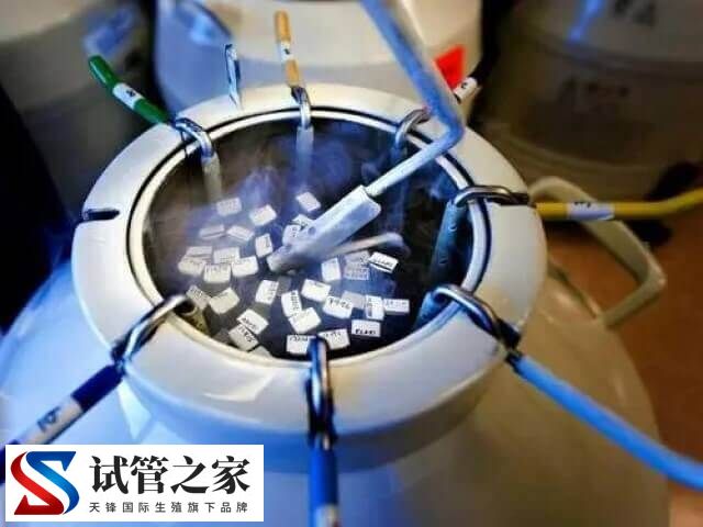 试管婴儿剩余胚胎可以在医院冷冻保存5年吗？(图2)