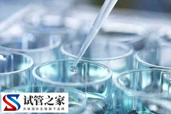 胚胎达到几级可以冷冻(图2)