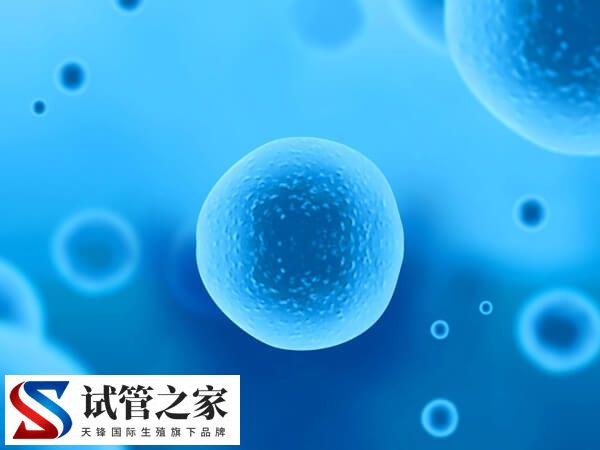 微促排方案卵子质量好不好