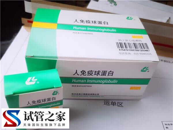 胚胎移植前打多少蛋白合适(图2)