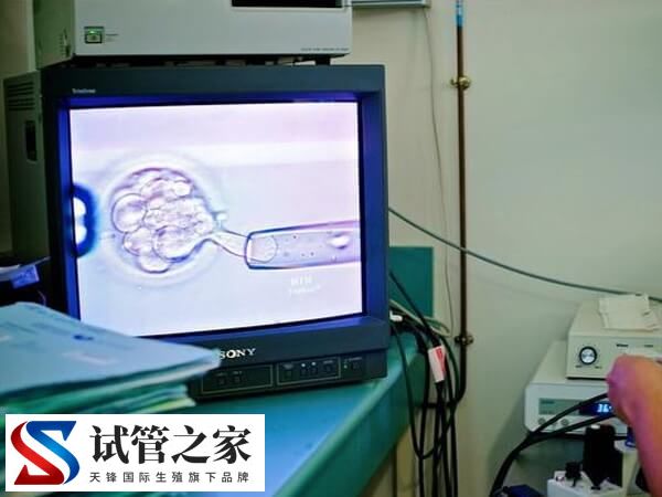 只有2个优质胚胎移植能不能成功(图2)