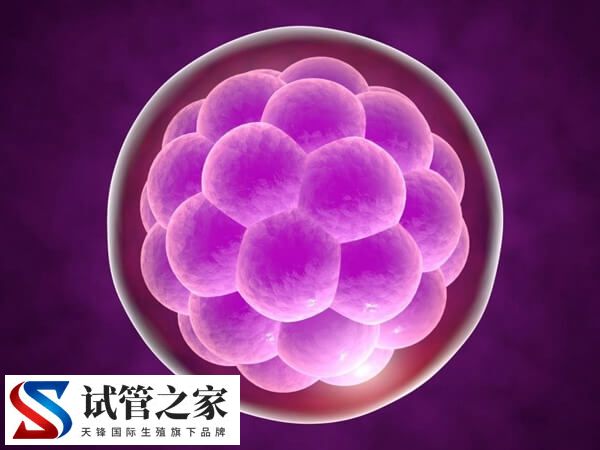 如何提高养囊成功率(图2)