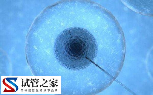 如何提高养囊成功率