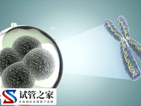 囊胚移植第六天老想小便正不正常