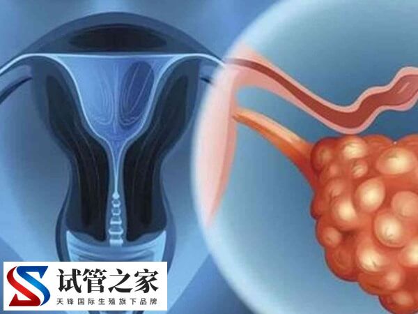 囊胚移植第六天老想小便正不正常(图2)