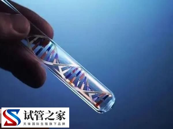 一文告知试管婴儿适用于哪些人，排卵障碍、免疫不孕快瞧(图1)