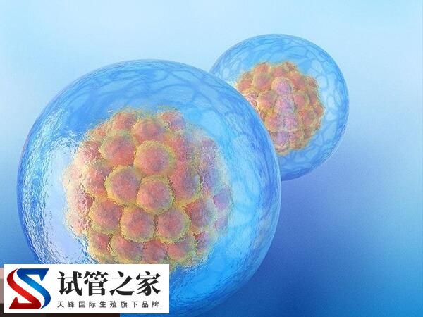 做试管婴儿一般取卵几个合适看完知，有的取10-15个算正常(图1)