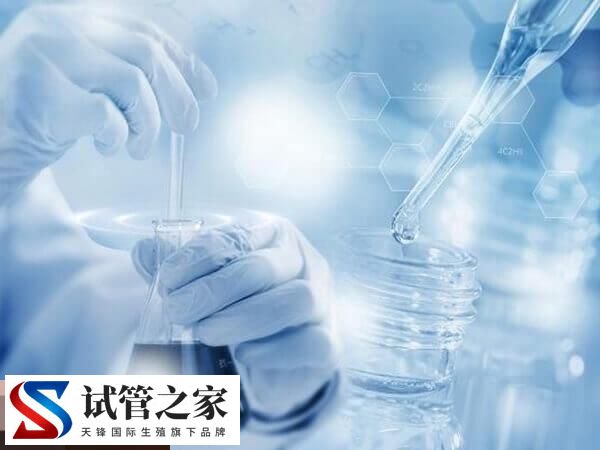 取卵前后的注意事项汇总,可不可以同房一看便知(图1) 取卵前后的注意事项汇总,可不可以同房一看便知(图1)