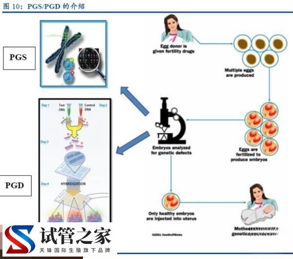 什么是PGT-A？速看与三代试管婴儿的PGS技术的区别在哪