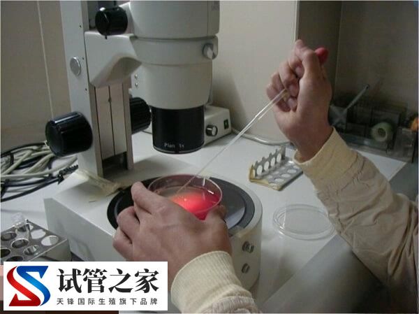 试管婴儿能否一次移植成功说不准，得从年龄等3方面判断