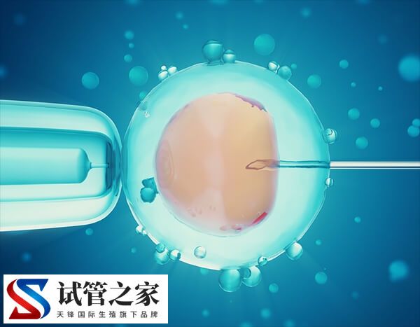 鲜胚移植成功率90%是不是真的(图2)