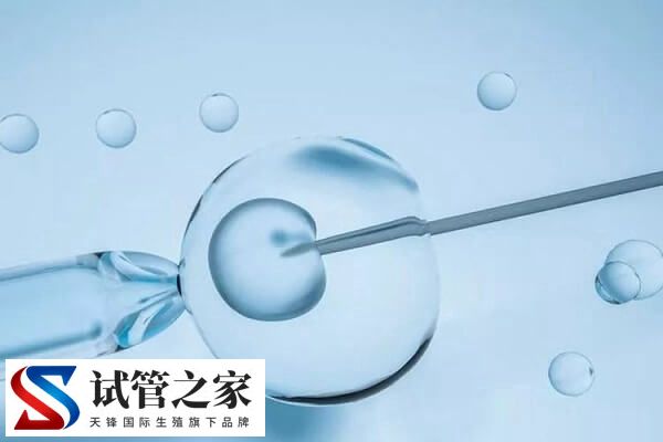 孕酮高鲜胚移植怎么样