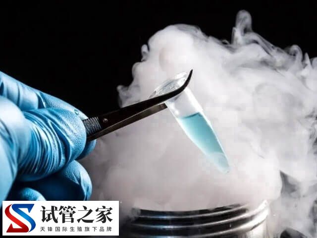 胚胎冷冻费用怎么算的