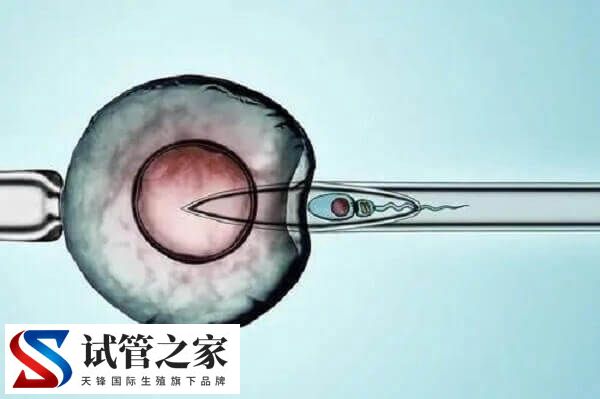 41岁囊胚植入失败4次要清宫(图2)