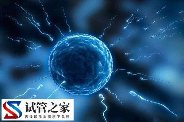 打降调后多久能宫腔灌注(图2)