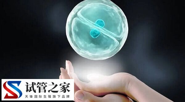 试管婴儿胚胎移植成功率多少(图2) 试管婴儿胚胎移植成功率多少(图2)