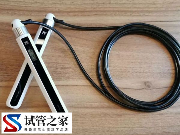 胚胎移植着床后怎样才能翻倍快(图2)