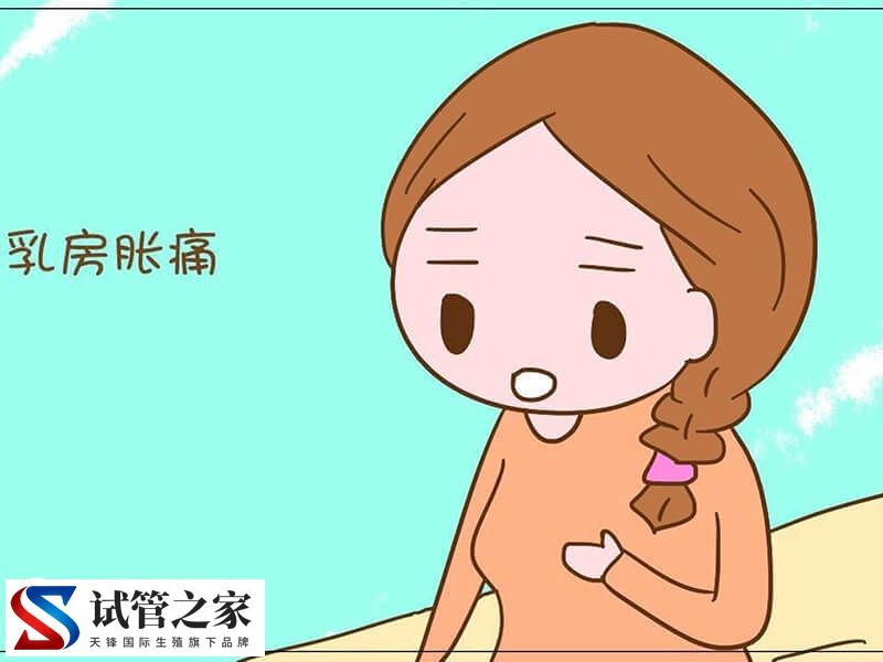 胚胎移植后着床会有什么感觉