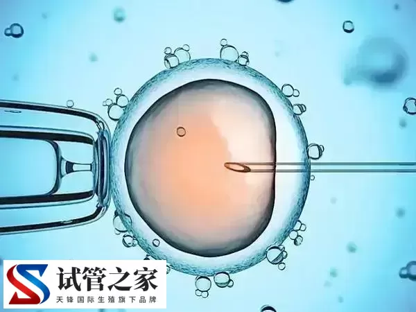 胚胎移植后着床会有什么感觉(图2)