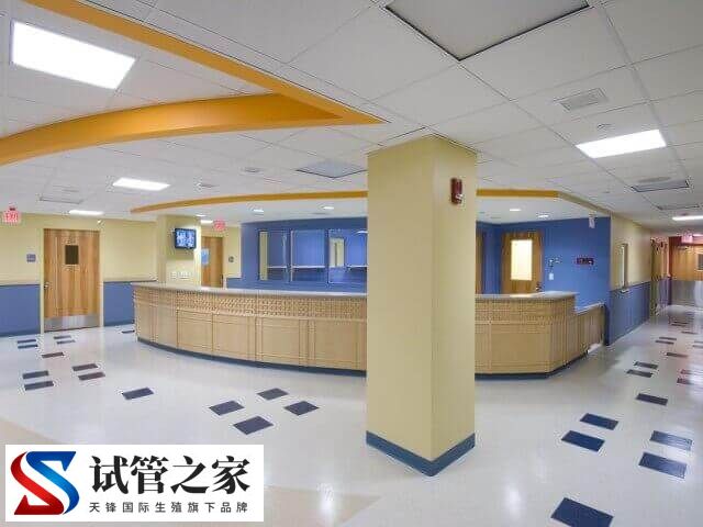 兰州试管婴儿排名第一哪家(图2)