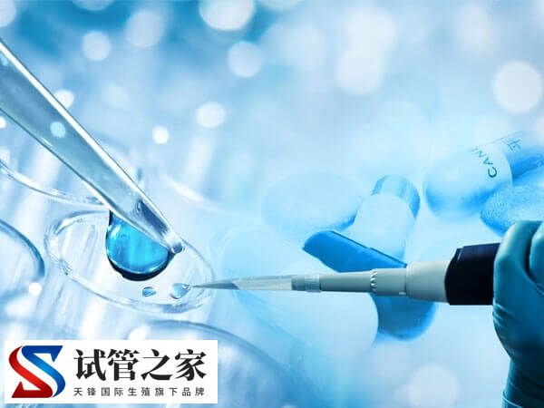 做了两次试管都不成功怎么办(图2)