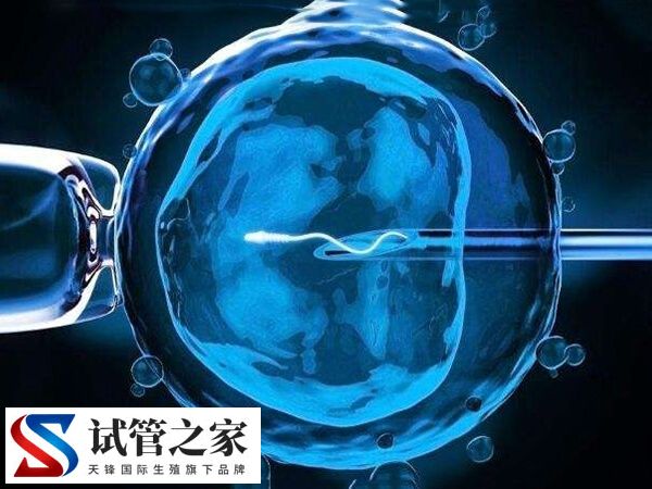 做了两次试管都不成功怎么办