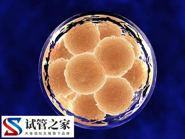 34岁7次试管没成功怎么办