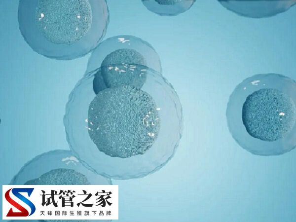 做试管会不会导致陈旧结核复发