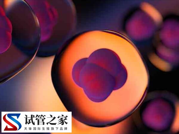 试管打针会不会导致乳腺结节