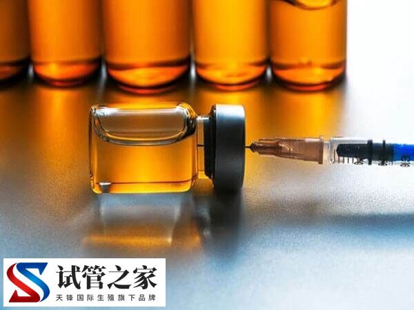 拮抗剂方案可不可以移植鲜胚