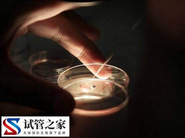 养囊6天了还没结果是好事还是坏事(图2)