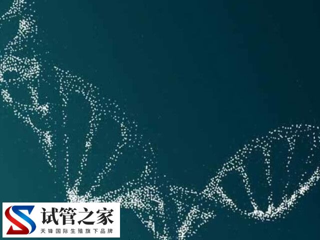 第三代试管婴儿PGT诊断可以排除蚕豆病吗？(图2)