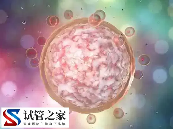 试管移植前lh多少是正常