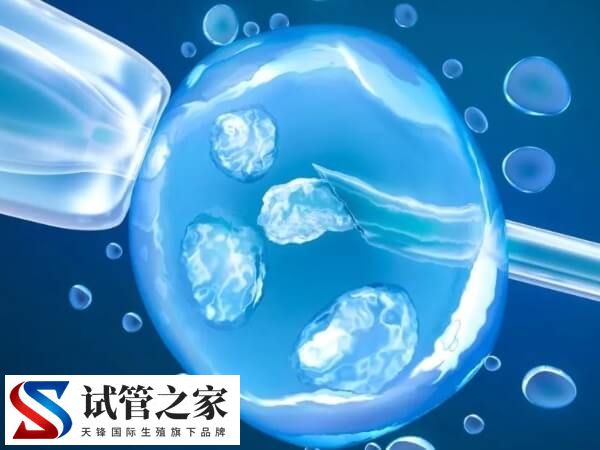 试管婴儿胚胎冷冻后不用了医院怎么处理
