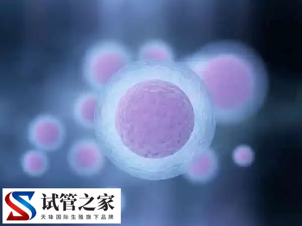 北医三院试管婴儿费用大约多少(图2)