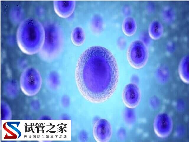 试管微刺激方案促排需要几天(图1)