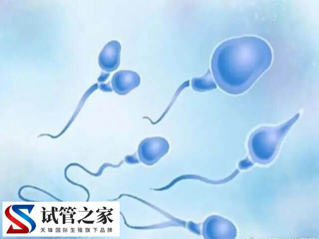 2025年试管婴儿费用大约多少(图2)